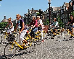 Street View Albert Cuyp III A studio Amsterdam