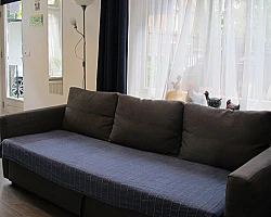 Living area Brazil apartment Amsterdam