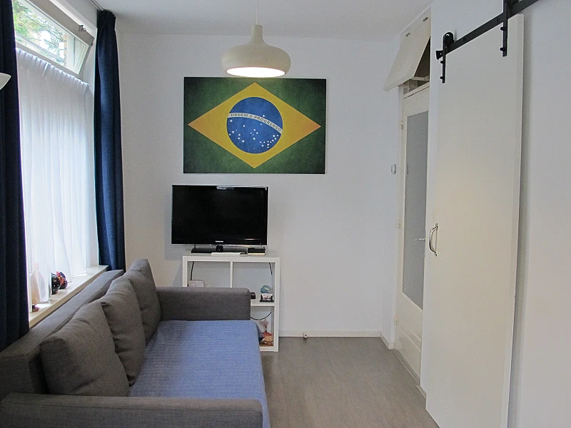 Living area with television Brazil apartment Amsterdam